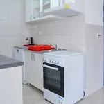 Bilice Darko Apartman Šibenik