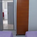 Bilice Darko * Šibenik